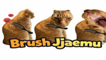 Brush Jjaemu img