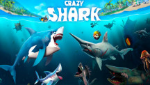 Crazy Shark img