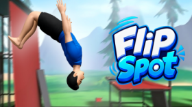 Flip Spot img