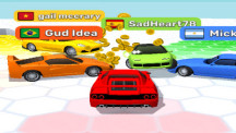 Survival Race img