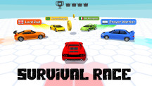 Survival Race img